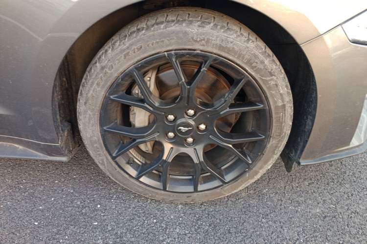 Used Ford Mustang 2021 2.3T EcoBoost Exterior 7
