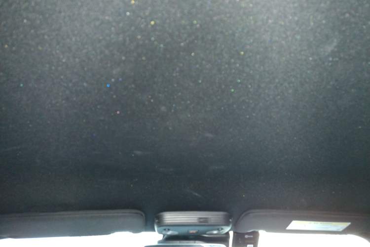 Used Ford Mustang 2021 2.3T EcoBoost Headliner