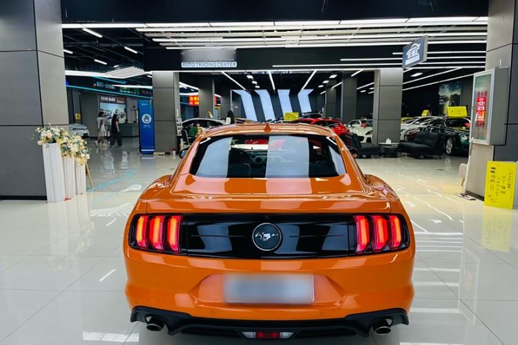 Used Ford Mustang 2021 2.3T EcoBoost Exterior 5
