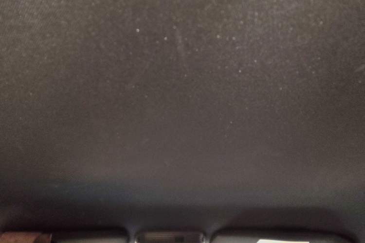 Used Ford Mustang 2021 2.3T EcoBoost Headliner