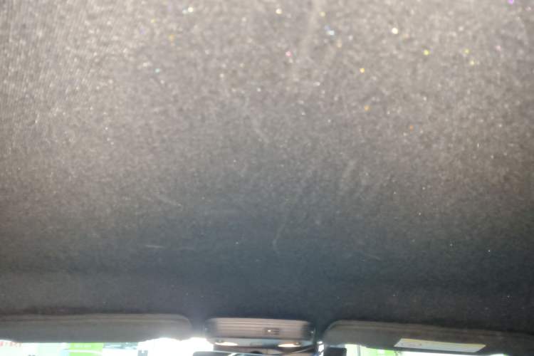 Used Ford Mustang 2021 2.3T EcoBoost Headliner