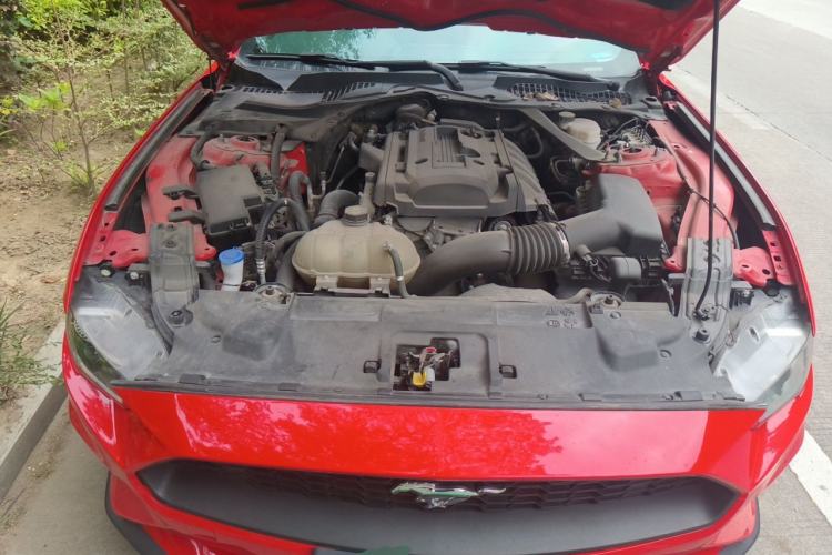 Used Ford Mustang 2021 2.3T EcoBoost Engine Bay