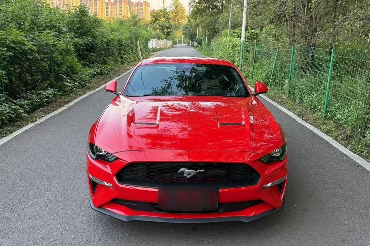Used Ford Mustang 2021 2.3T EcoBoost Exterior 1