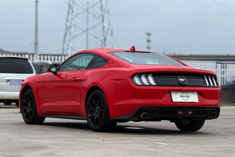 Used Ford Mustang 2021 2.3T EcoBoost Exterior 2