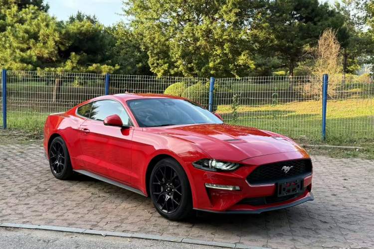 Used Ford Mustang 2021 2.3T EcoBoost Exterior 2