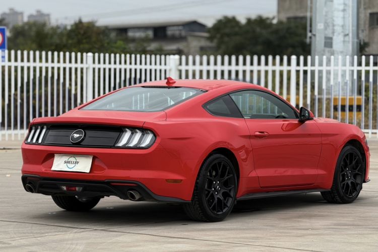 Used Ford Mustang 2021 2.3T EcoBoost Exterior 3