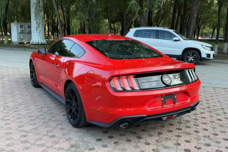 Used Ford Mustang 2021 2.3T EcoBoost Exterior 3