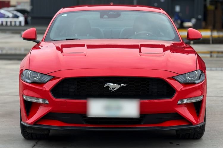 Used Ford Mustang 2021 2.3T EcoBoost Exterior 4