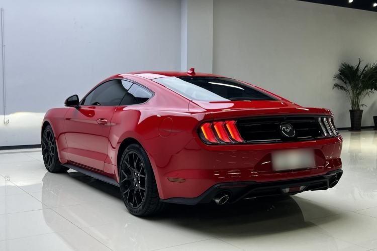 Used Ford Mustang 2021 2.3T EcoBoost Exterior 5