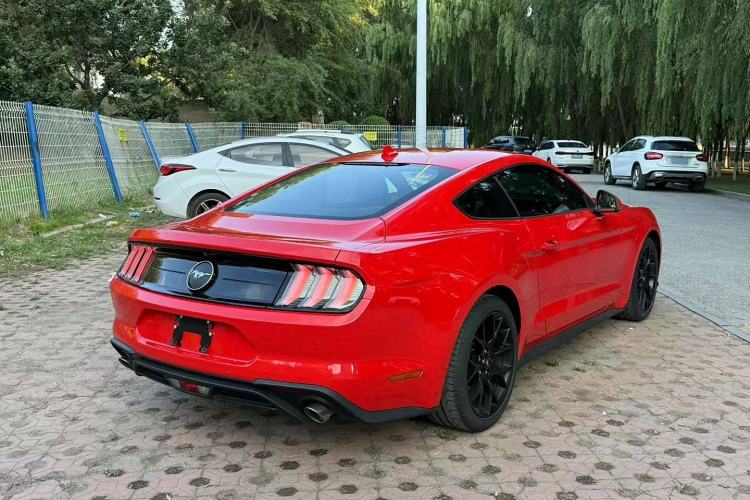Used Ford Mustang 2021 2.3T EcoBoost Exterior 5