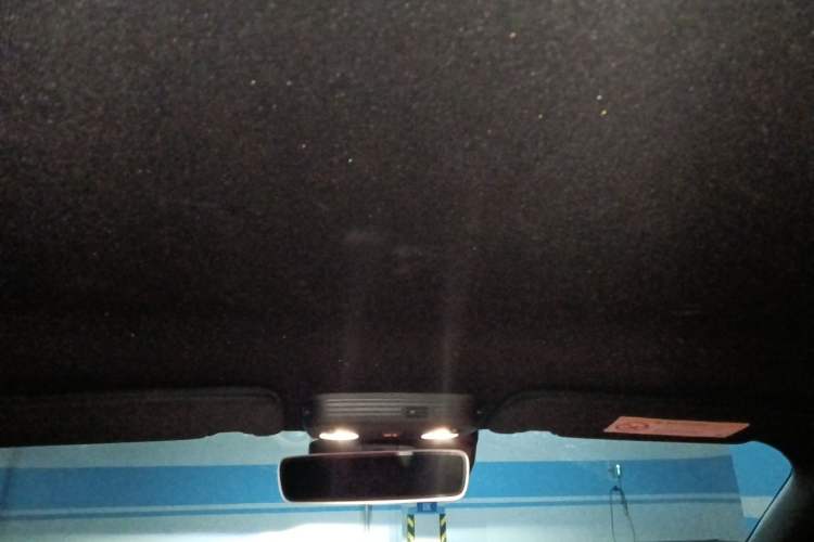 Used Ford Mustang 2021 2.3T EcoBoost Obsidian Phantom Special Edition Headliner