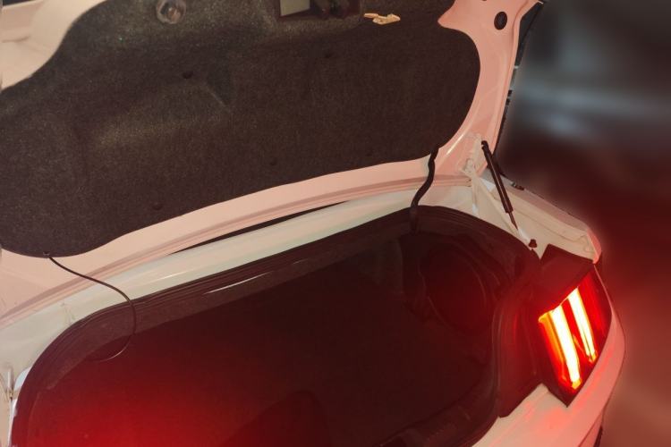 Used Ford Mustang  Trunk