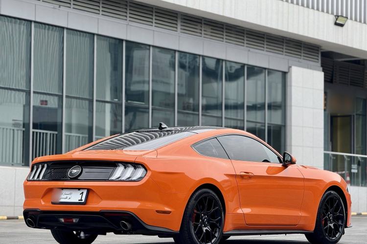 Used Ford Mustang 2021 2.3T EcoBoost Exterior 6