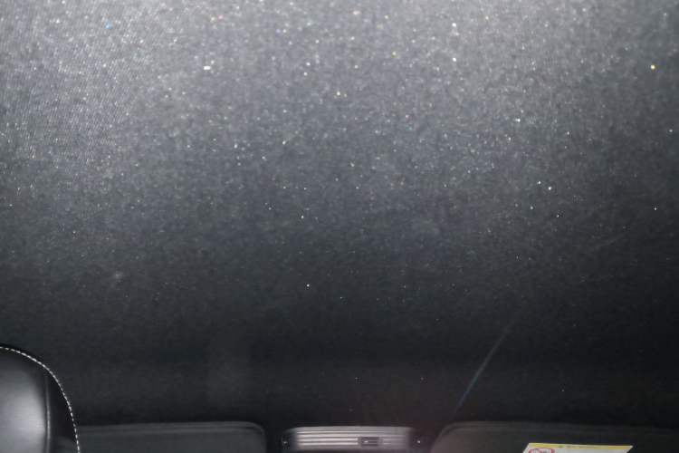 Used Ford Mustang 2021 2.3L EcoBoost Stealth Revival Limited Edition Headliner