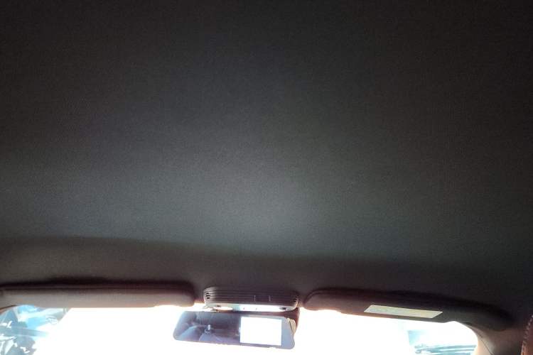 Used Ford Mustang 2021 2.3T EcoBoost Headliner