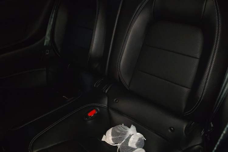 Used Ford Mustang 2021 2.3L EcoBoost Stealth Revival Limited Edition Left Rear Seat