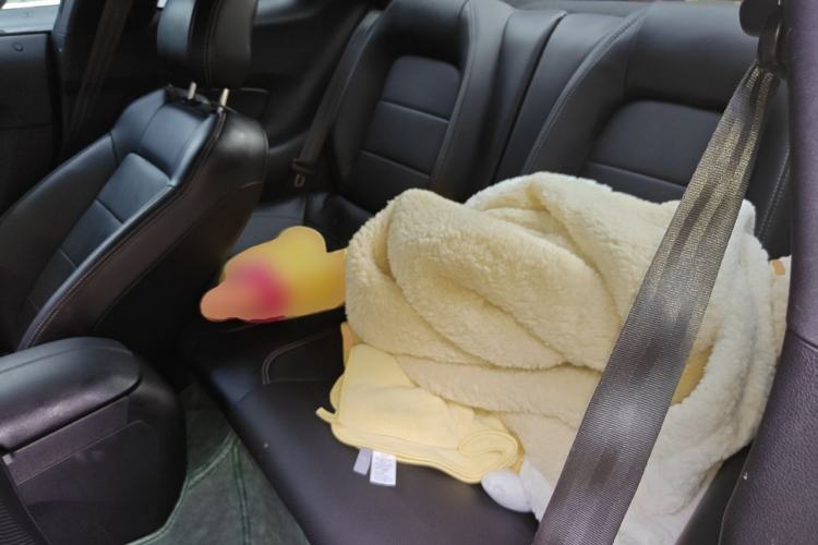 Used Ford Mustang 2021 2.3L EcoBoost Stealth Revival Limited Edition Left Rear Seat