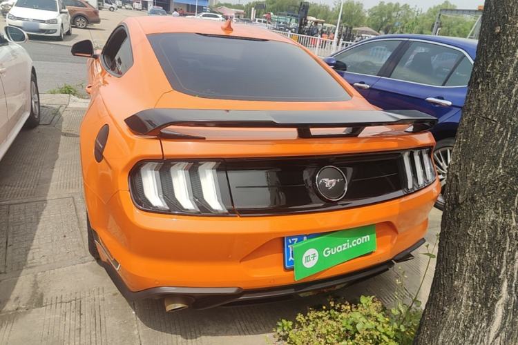 Used Ford Mustang 2021 2.3T EcoBoost Rear