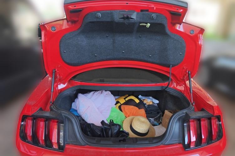 Used Ford Mustang  Trunk