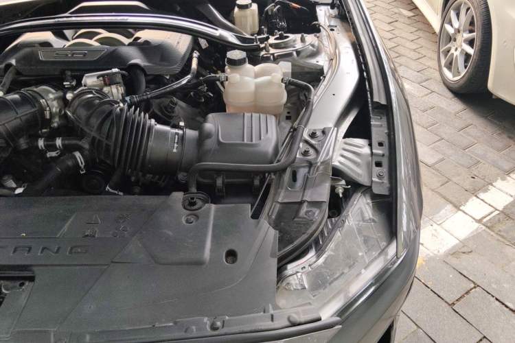 Used Ford Mustang 2024 5.0L V8 Dark Horse Engine Bay Left