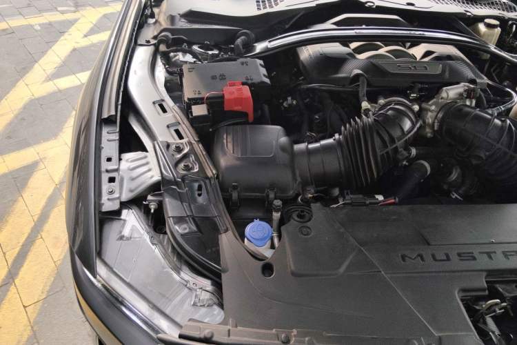 Used Ford Mustang 2024 5.0L V8 Dark Horse Engine Bay Right