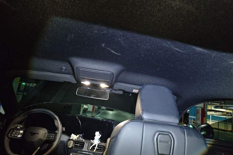 Used Ford Mustang 2024 5.0L V8 Dark Horse Headliner