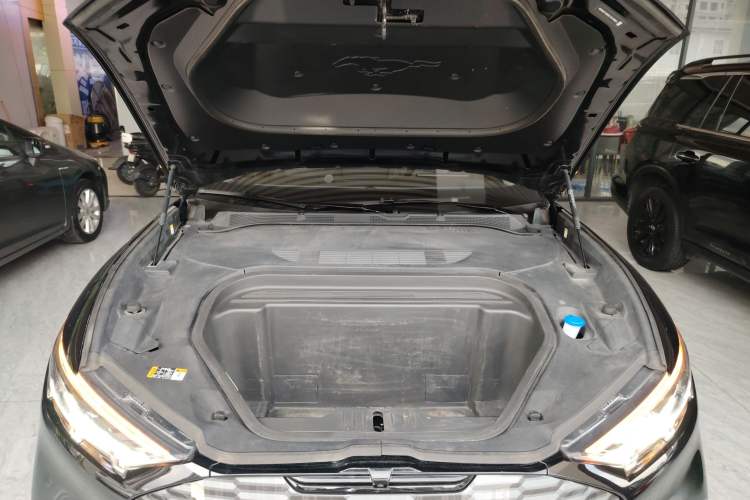 Used Ford Mustang Mach-E 2021 Leap Edition Rear-Drive Version (Standard Range) Engine Bay