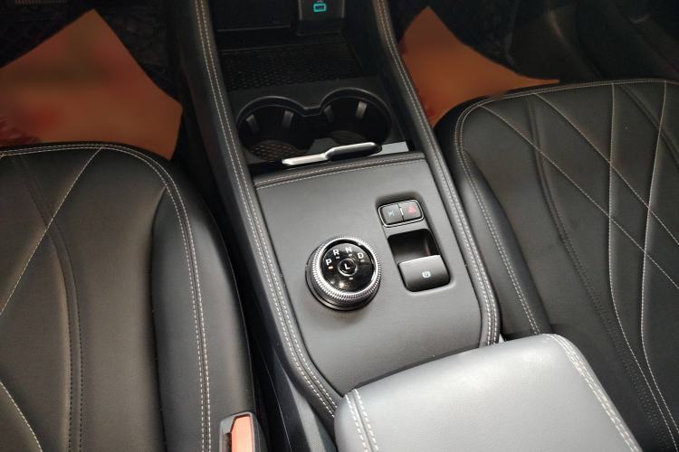 Used Ford Mustang Mach-E 2021 Leap Edition Rear-Drive Version (Standard Range) Gear Lever