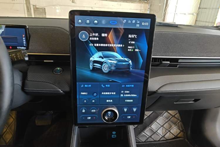Used Ford Mustang Mach-E 2021 Wujiang Rear-Drive Version (Long Range) Audio And AC Panel