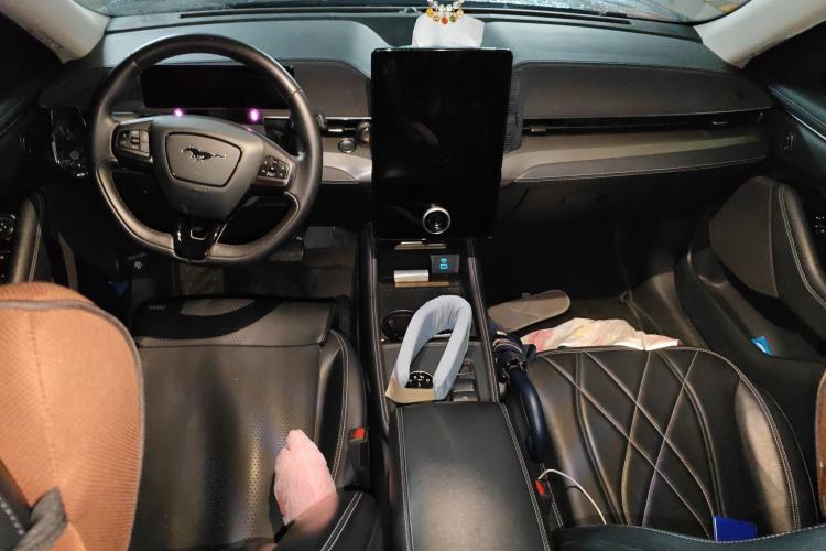 Used Ford Mustang Mach-E 2021 Leap Edition Rear-Drive Version (Standard Range) Center Console
