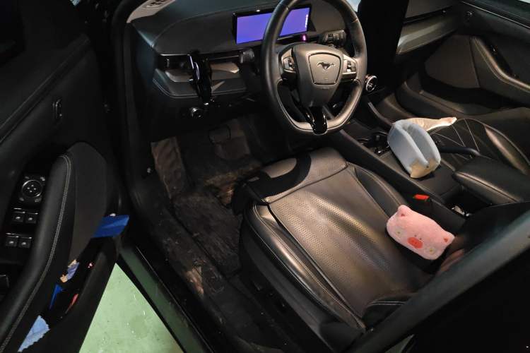 Used Ford Mustang Mach-E 2021 Leap Edition Rear-Drive Version (Standard Range) Driver Seat