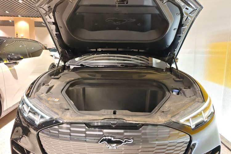 Used Ford Mustang Mach-E 2021 Chasing Wind All-Wheel-Drive Luxury Edition (Long-Range) Engine Bay
