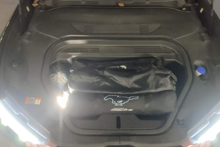 Used Ford Mustang Mach-E 2021 AION Y Plus Rear-Drive Luxury Edition (Long Range) Engine Bay