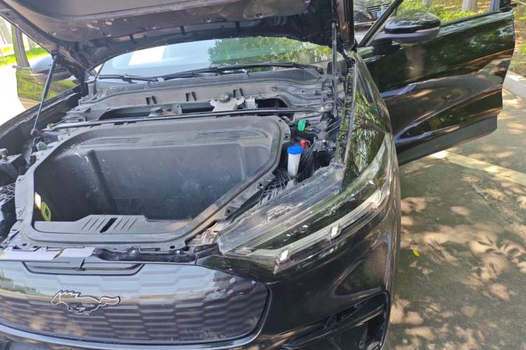 Used Ford Mustang Mach-E 2021 Leap Edition Rear-Drive Version (Standard Range) Engine Bay Left