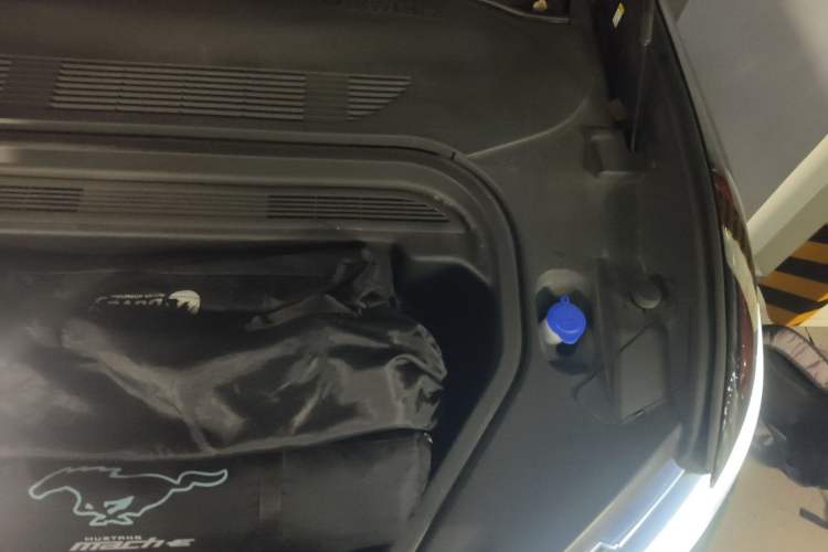 Used Ford Mustang Mach-E 2021 AION Y Plus Rear-Drive Luxury Edition (Long Range) Engine Bay Left