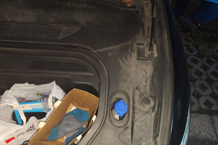 Used Ford Mustang Mach-E 2021 AION Y Plus Rear-Drive Luxury Edition (Long Range) Engine Bay Left