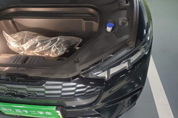 Used Ford Mustang Mach-E 2021 AION Y Plus Rear-Drive Luxury Edition (Long Range) Engine Bay Left