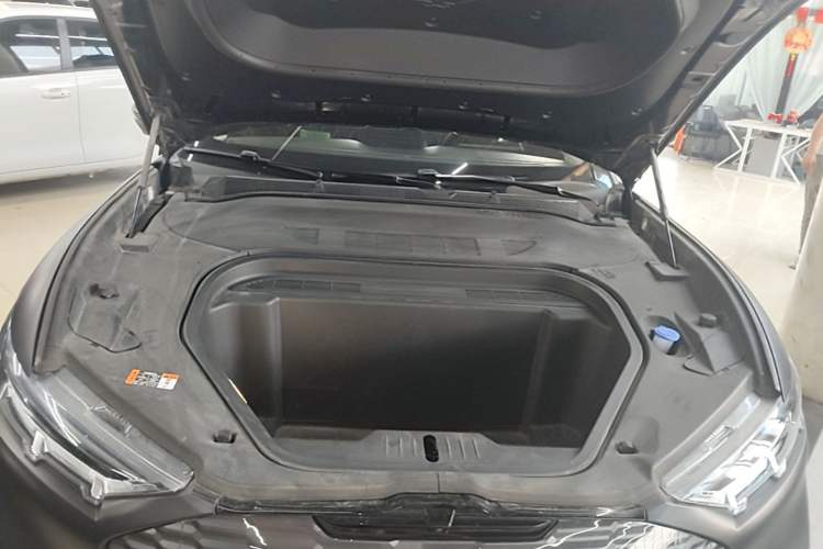 Used Ford Mustang Mach-E 2021 Leap Edition Rear-Drive Version (Standard Range) Engine Bay