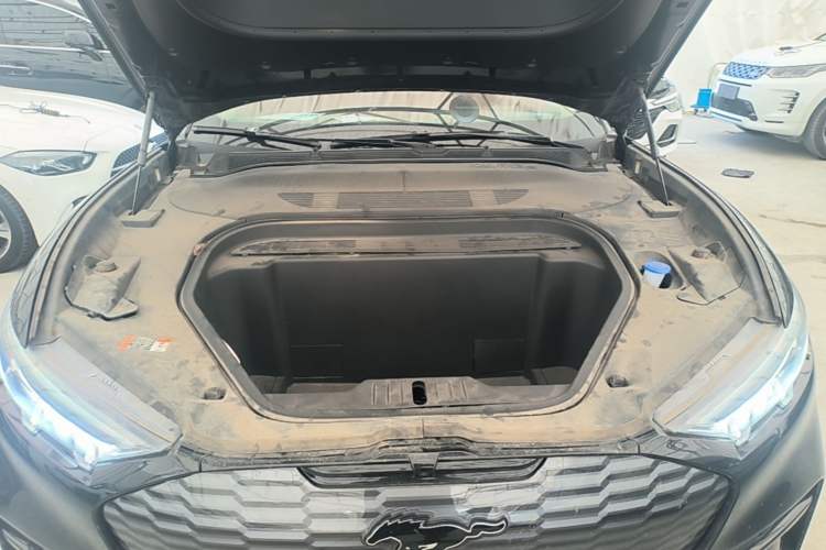 Used Ford Mustang Mach-E 2021 Leap Edition Rear-Drive Version (Standard Range) Engine Bay