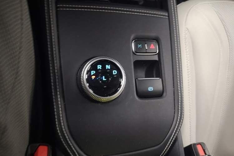 Used Ford Mustang Mach-E 2021 AION Y Plus Rear-Drive Luxury Edition (Long Range) Gear Lever
