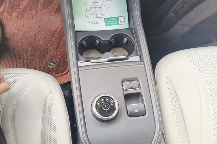 Used Ford Mustang Mach-E 2021 AION Y Plus Rear-Drive Luxury Edition (Long Range) Gear Lever