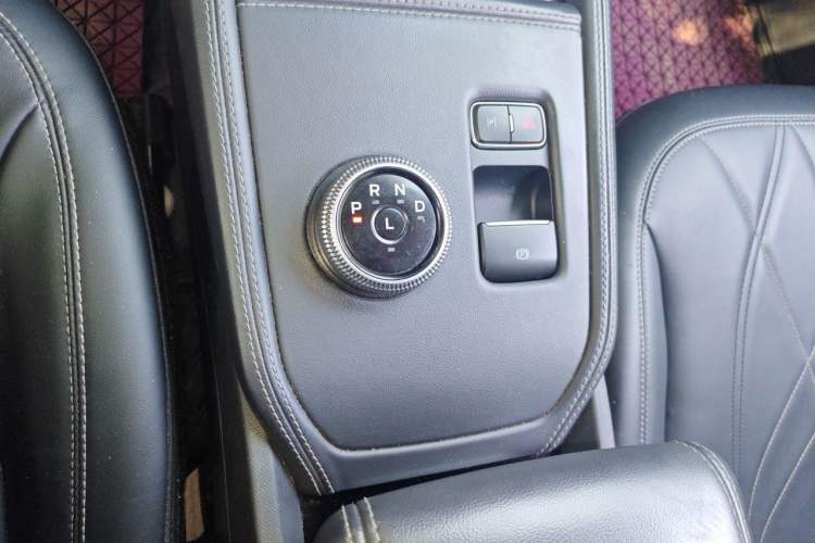 Used Ford Mustang Mach-E 2021 Leap Edition Rear-Drive Version (Standard Range) Gear Lever