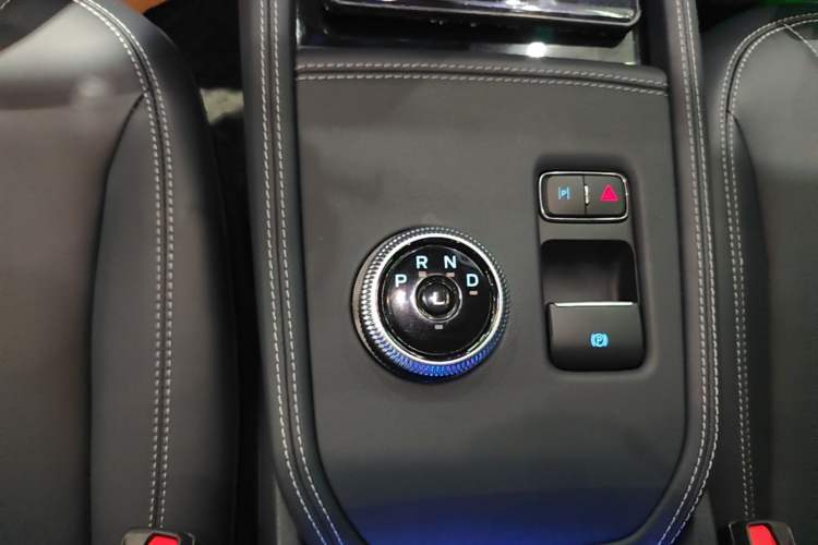 Used Ford Mustang Mach-E 2021 Leap Edition Rear-Drive Version (Standard Range) Gear Lever