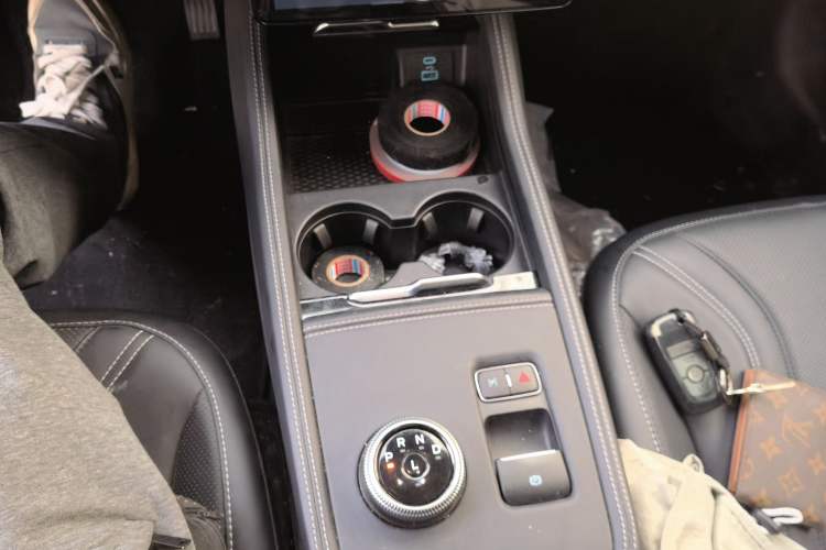 Used Ford Mustang Mach-E 2021 AION Y Plus Rear-Drive Luxury Edition (Long Range) Gear Lever