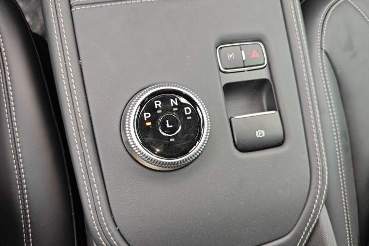 Used Ford Mustang Mach-E 2021 Leap Edition Rear-Drive Version (Standard Range) Gear Lever