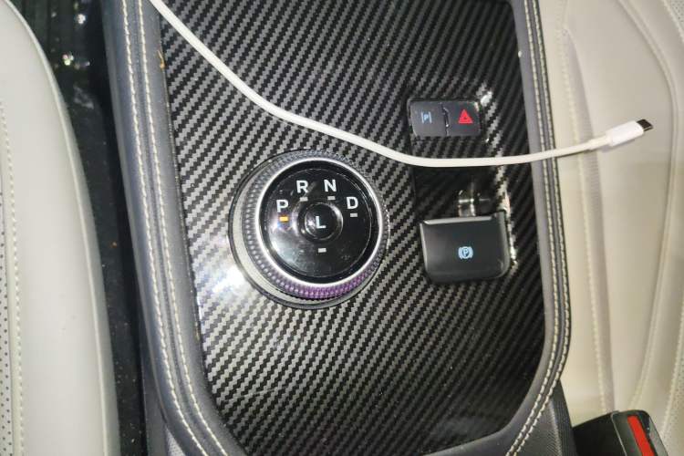 Used Ford Mustang Mach-E 2021 AION Y Plus Rear-Drive Luxury Edition (Long Range) Gear Lever