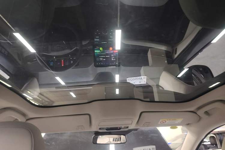 Used Ford Mustang Mach-E 2021 AION Y Plus Rear-Drive Luxury Edition (Long Range) Headliner