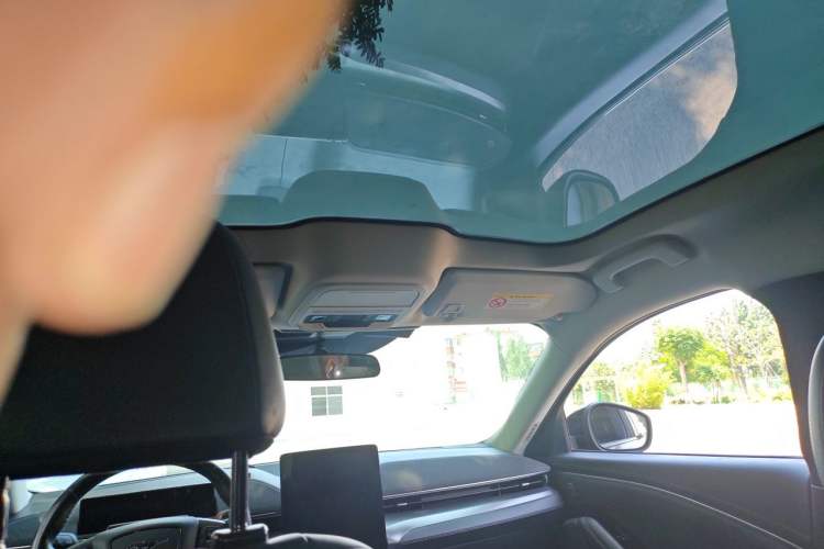 Used Ford Mustang Mach-E 2021 Leap Edition Rear-Drive Version (Standard Range) Headliner