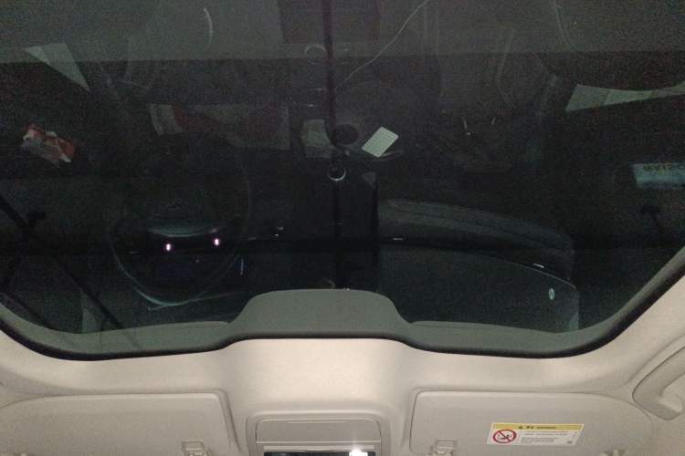 Used Ford Mustang Mach-E 2021 AION Y Plus Rear-Drive Luxury Edition (Long Range) Headliner