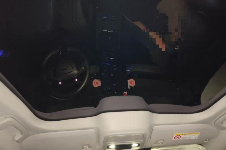 Used Ford Mustang Mach-E 2021 AION Y Plus Rear-Drive Luxury Edition (Long Range) Headliner